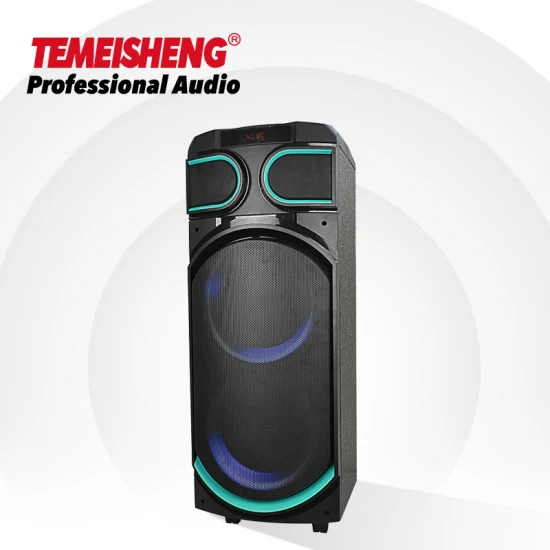 Temeisheng 8 Polegada caixa de festa 100 watts profissional portátil sem fio áudio blueotth alto-falante com microfone